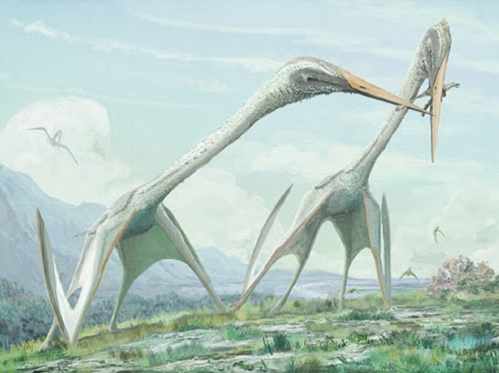 Ancient Transylvania Was Home To Giant Flying Reptiles With A Wingspan Of 32 Feet!