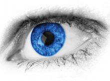 People With Blue Eyes Have One Common Ancestor Who Appeared 10,000 Years Ago