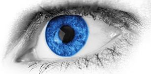 People With Blue Eyes Have One Common Ancestor Who Appeared 10,000 Years Ago