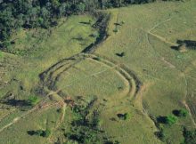 Hundreds Of Ancient Man-Made Earthworks Challenge Current Knowledge About The Amazon Forest