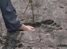 Mysterious Giant Footprints In China: Evidence That Huge Humans Roamed The Earth?