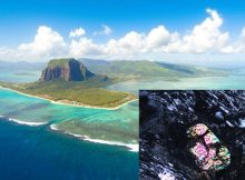 Piece Of A Long-Lost Continent Discovered Under Mauritius