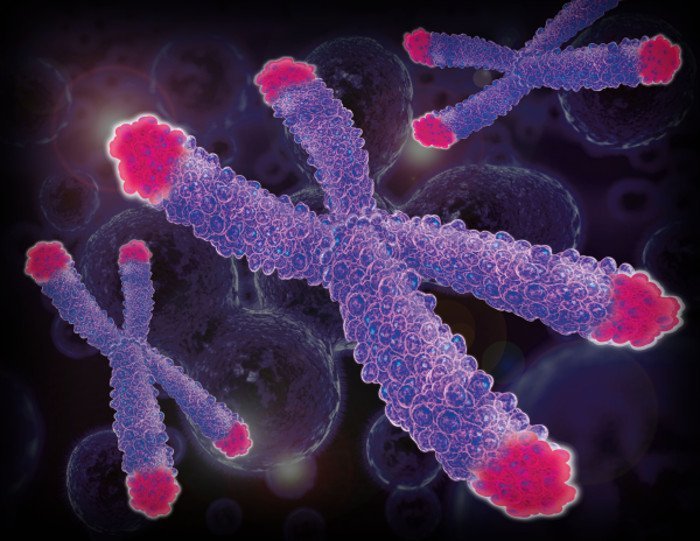 World’s First Evidence Mediation Can Improve Physical Health And Alter Biology