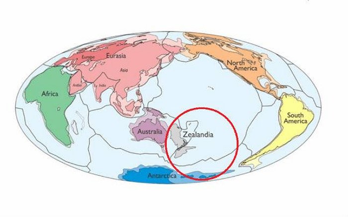 Zealandia New Continent Discovered Underwater Beneath New Zealand 