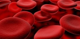 Bombay Blood Group – One Of The World's Rarest Blood Groups