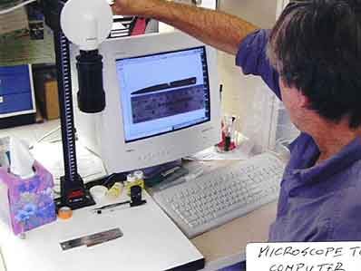 Ancient Mysteries Of West Virginia: Did Ancient Celts Visit North America Where They Left An Ogham Inscribed Bone Needle With Christian Symbols?