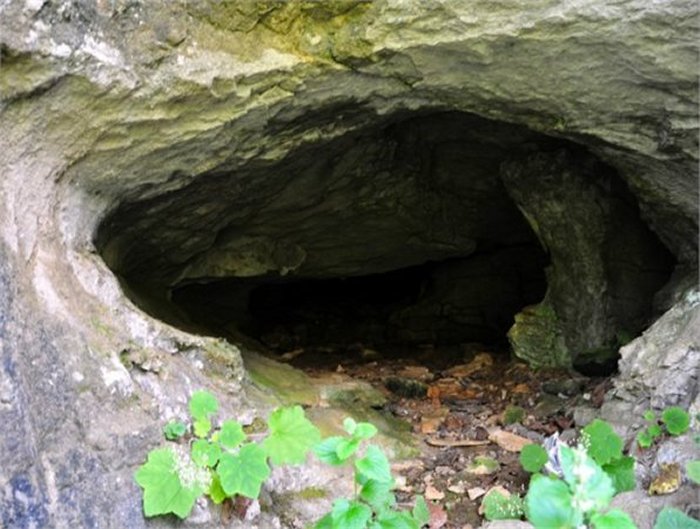 Ancient Mysteries Of West Virginia: Did Ancient Celts Visit North America Where They Left An Ogham Inscribed Bone Needle With Christian Symbols?