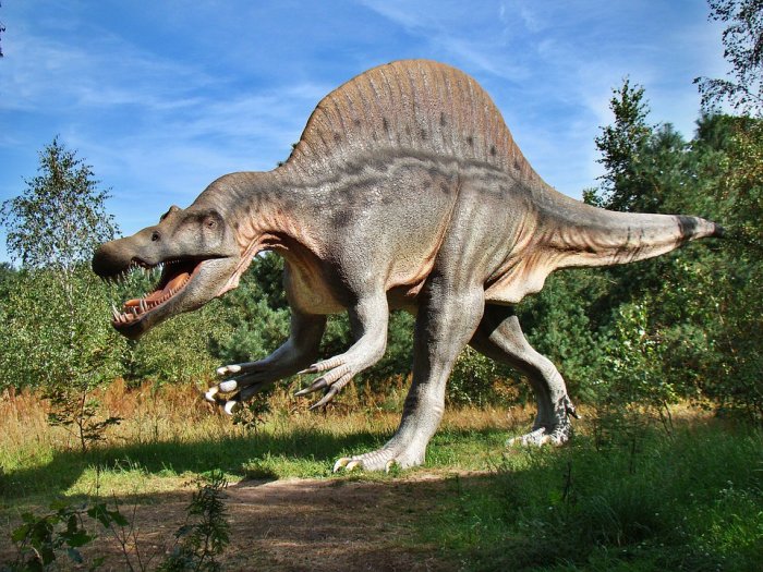 First Dinosaurs Came From Scotland - Controversial Theory Suggests