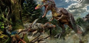 First Dinosaurs Came From Scotland - Controversial Theory Suggests