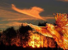 Mythical Fiery Bird Phoenix In Mythologies Of Many Ancient Cultures