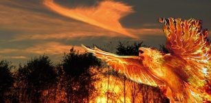 Mythical Fiery Bird Phoenix In Mythologies Of Many Ancient Cultures