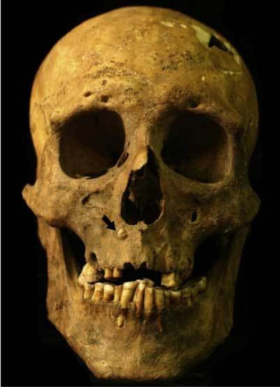 Discovery Of Unusual Ancient Skeleton Offers Evidence Giants Inhabited California