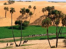 Controversial Theory Suggests Humans Turned Sahara Into A Desert