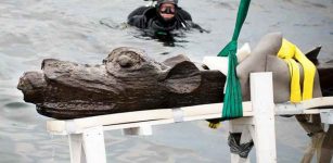 Gribshunden - 'Sea Monster' Wooden Figurehead Emerges From Baltic Sea, Southern Sweden