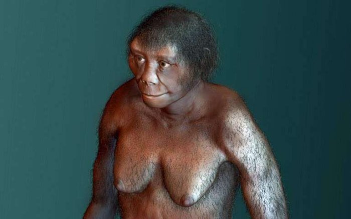 Has The Mystery Of The Hobbits Finally Been Solved?