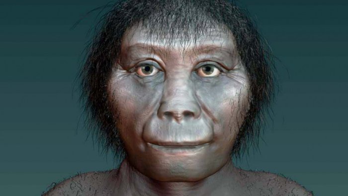 Has The Mystery Of The Hobbits Finally Been Solved?
