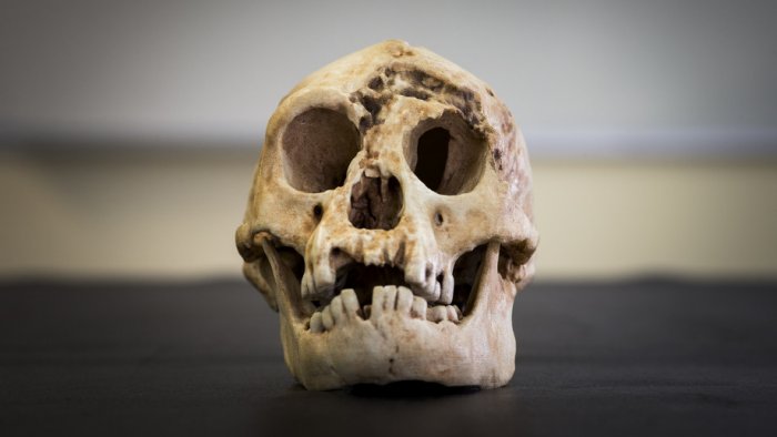 Has The Mystery Of The Hobbits Finally Been Solved?