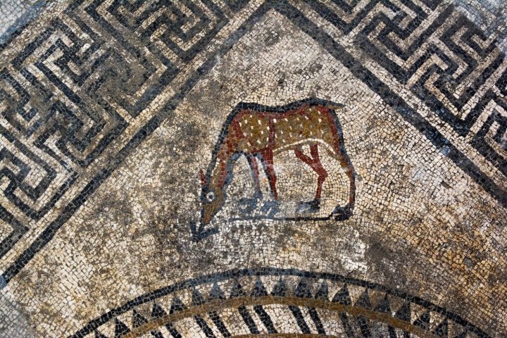 Beautiful Mosaics Reveals Ancient Secrets Of Unknown Roman City Ucetia In France
