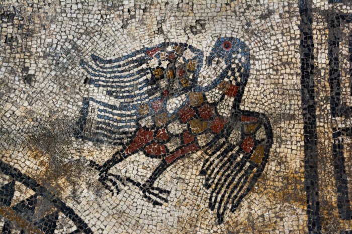 Beautiful Mosaics Reveals Ancient Secrets Of Unknown Roman City Ucetia In France