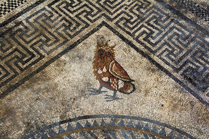 Beautiful Mosaics Reveals Ancient Secrets Of Unknown Roman City Ucetia In France