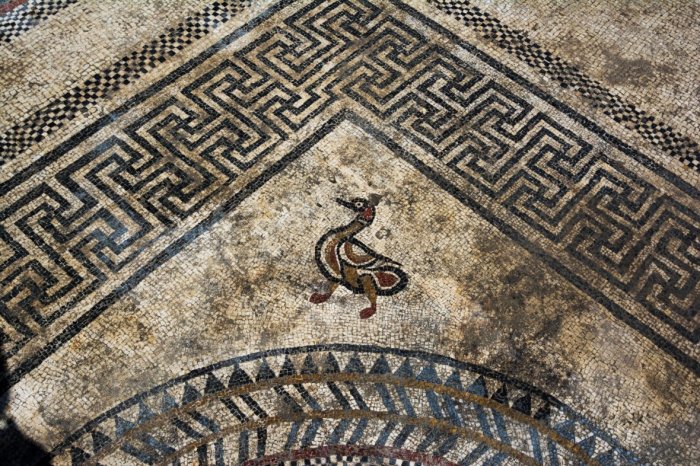 Beautiful Mosaics Reveals Ancient Secrets Of Unknown Roman City Ucetia In France