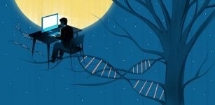Are You A Night Owl? Blame it On Your Genes