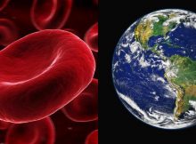 Rarest Blood Types On Earth – How Unique Is Your Blood?