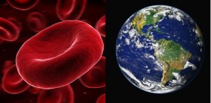 Rarest Blood Types On Earth – How Unique Is Your Blood?