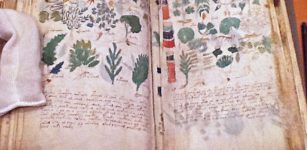 Voynich manuscript