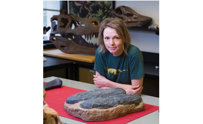 University of Calgary dinosaur paleontologist Darla Zelenitsky is part of an international team that discovered the infamous fossil Baby Louie is from a new species of giant bird-like dinosaur — which tended to enormous nests bigger than a monster truck tire — in Henan, China. Photo by Riley Brandt, University of Calgary