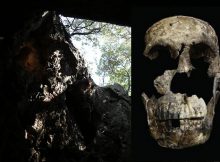 Fossils Of Mysterious Homo Naledi Change Our Understanding Of Evolution