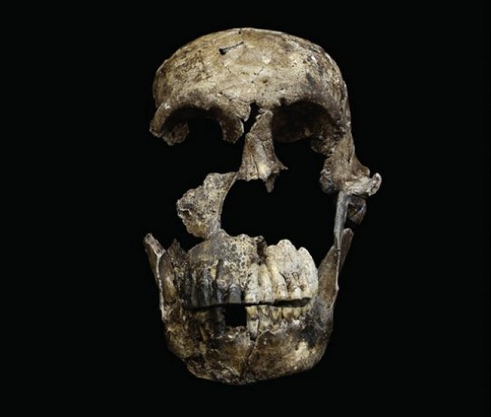 Fossils Of Mysterious Homo Naledi Change Our Understanding Of Evolution