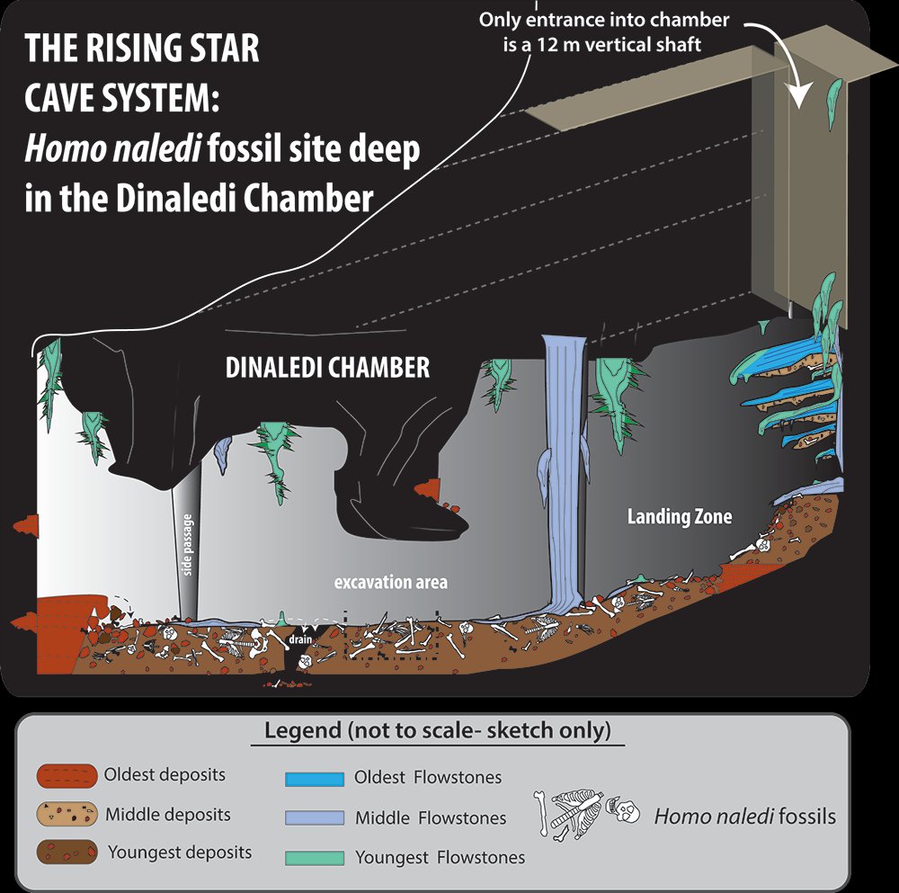 Rising Star Cave System