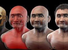 Controversial 3D Reconstruction Of 10,000-Year-Old Apiuna Man Reveals First Americans Came From Africa
