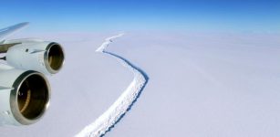 New Satellite Images Show Giant Iceberg Will Split From Antarctica Anytime Now