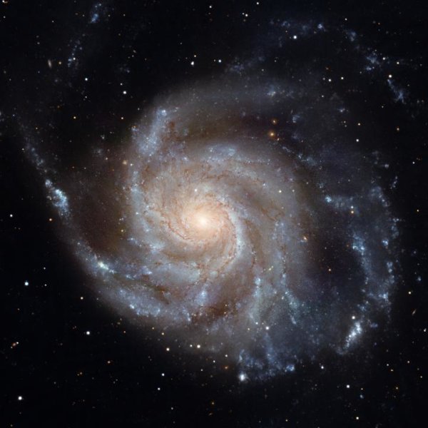 A close-up view of the Messier 101 galaxy, which is a spiral galaxy similar to the Milky Way galaxy. The Messier 101 has a pancake-like shape that we view face-on. This perspective shows off the spiral structure that gives it the nickname the "Pinwheel Galaxy."