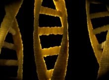 Dark DNA Phenomenon – One Of The Strangest Discoveries So Far