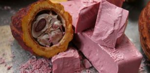 Ruby - New Type Of Chocolate Invented– It’s Pink And Very Different