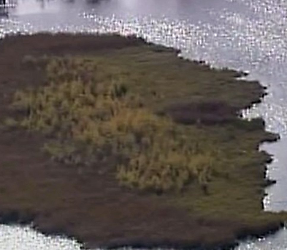 Giant Black Wandering Bog Suddenly Appears In North Long Lake, Minnesota
