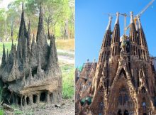 Astonishing Cathedral Built By Termites Reminds Of Gaudi's Barcelona Masterpiece