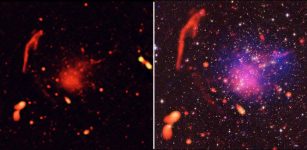 Left: Radio-only image of Abell 2744 region, showing radio-emitting features caused by subatomic particles accelerated to high speeds by the collisions of giant clusters of galaxies. Credit: Pearce et al., NRAO/AUI/NSF; Right: Radio-only image of Abell 2744 region, showing radio-emitting features caused by subatomic particles accelerated to high speeds by the collisions of giant clusters of galaxies. Credit: Pearce et al., NRAO/AUI/NSF
