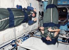 Astronauts Thomas D. Jones and Mark L. Polansky during their sleep shift in the Destiny laboratory on the International Space Station in 2001. Photo courtesy of NASA