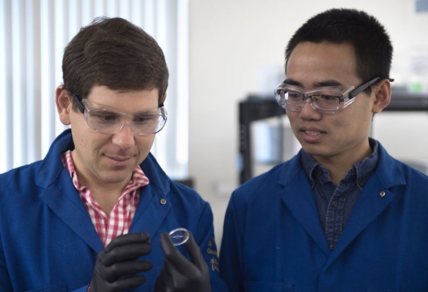 UCI engineering professor Alon Gorodetsky and doctoral student Chengyi Xu have achieved a breakthrough, inventing a stretchy new material modeled after both squid skin and Hollywood dinosaurs with remarkable properties. Steve Zylius / UCI