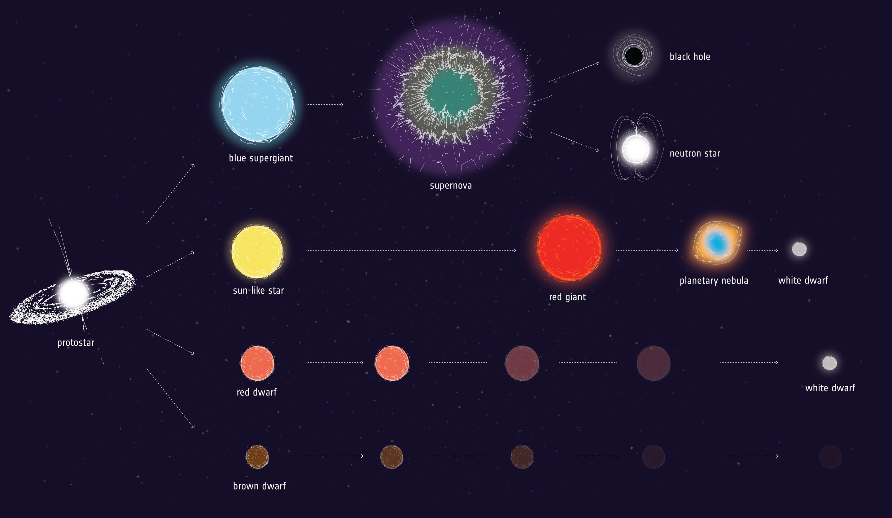 Stellar evolution. Credit: European Space Agency
