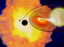 Columbia astrophysicists have discovered 12 black hole-low mass binaries orbiting Sgr A* at the center of the Milky Way galaxy. Their existence suggests there are likely about 10,000 black holes within just three light years of the Galactic Center