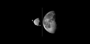 This composite image compares how big the moons of Mars appear, as seen from the surface of the Red Planet, in relation to the size that our Moon appears from Earth’s surface. While Earth’s Moon is 100 times bigger than the larger Martian moon Phobos, the Martian moons orbit much closer to their planet, making them appear relatively larger in the sky. Deimos, at far left, and Phobos, beside it, are shown together as photographed by NASA’s Mars rover Curiosity on Aug. 1, 2013. Credit: Image Courtesy of NASA/JPL-Caltech/Malin Space Science Systems/Texas A&M Univ.