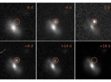 Images of one of the transient events, from eight days before the maximum brightness to 18 days afterwards. This outburst took place at a distance of 4 billion light years. Credit: M. Pursiainen / University of Southampton