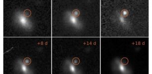 Images of one of the transient events, from eight days before the maximum brightness to 18 days afterwards. This outburst took place at a distance of 4 billion light years. Credit: M. Pursiainen / University of Southampton