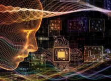 If The Human Brain Is A Quantum Computer We Will Find It Out – Scientists Say