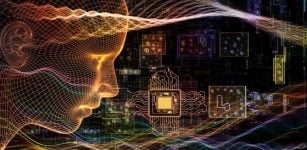 If The Human Brain Is A Quantum Computer We Will Find It Out – Scientists Say